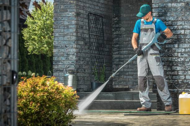 Best Soft Washing  in Iowa Colony, TX