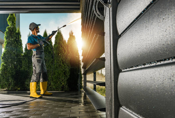 Best Animal Enclosure Cleaning  in Iowa Colony, TX
